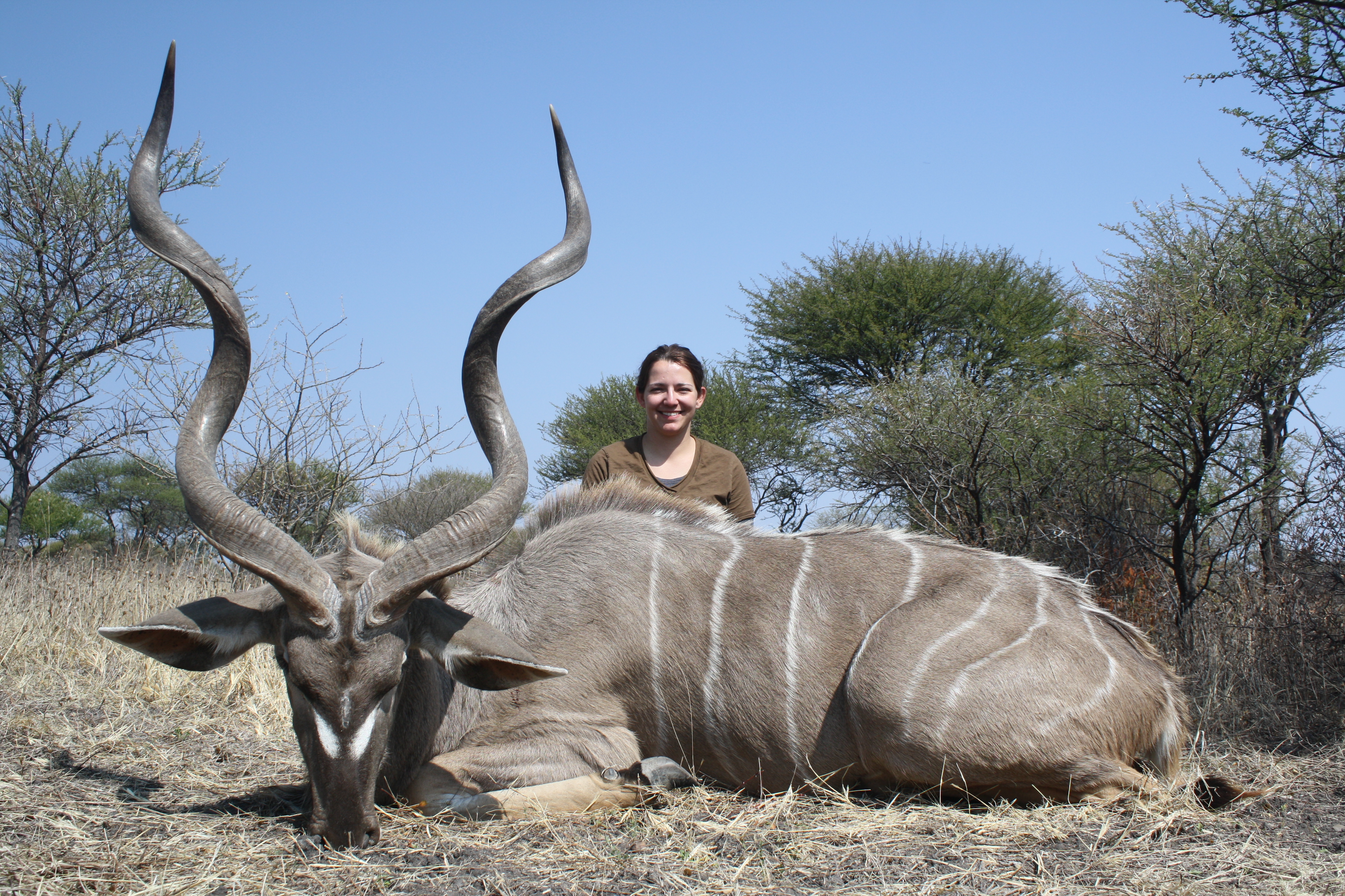 Kudu 2.JPG