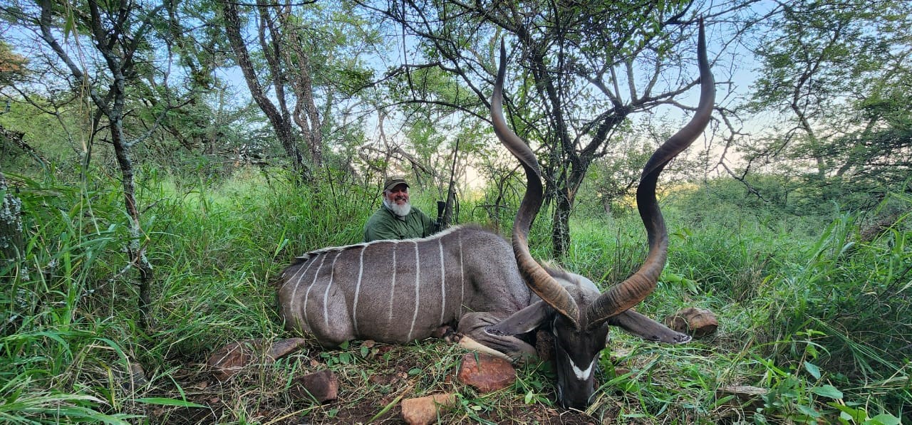 Kudu 2.jpg