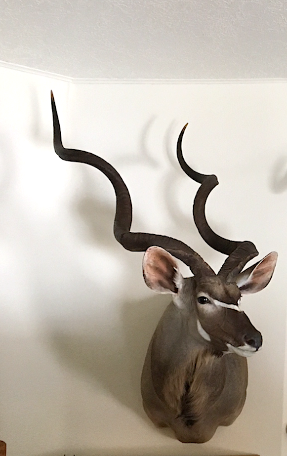 kudu angle.png