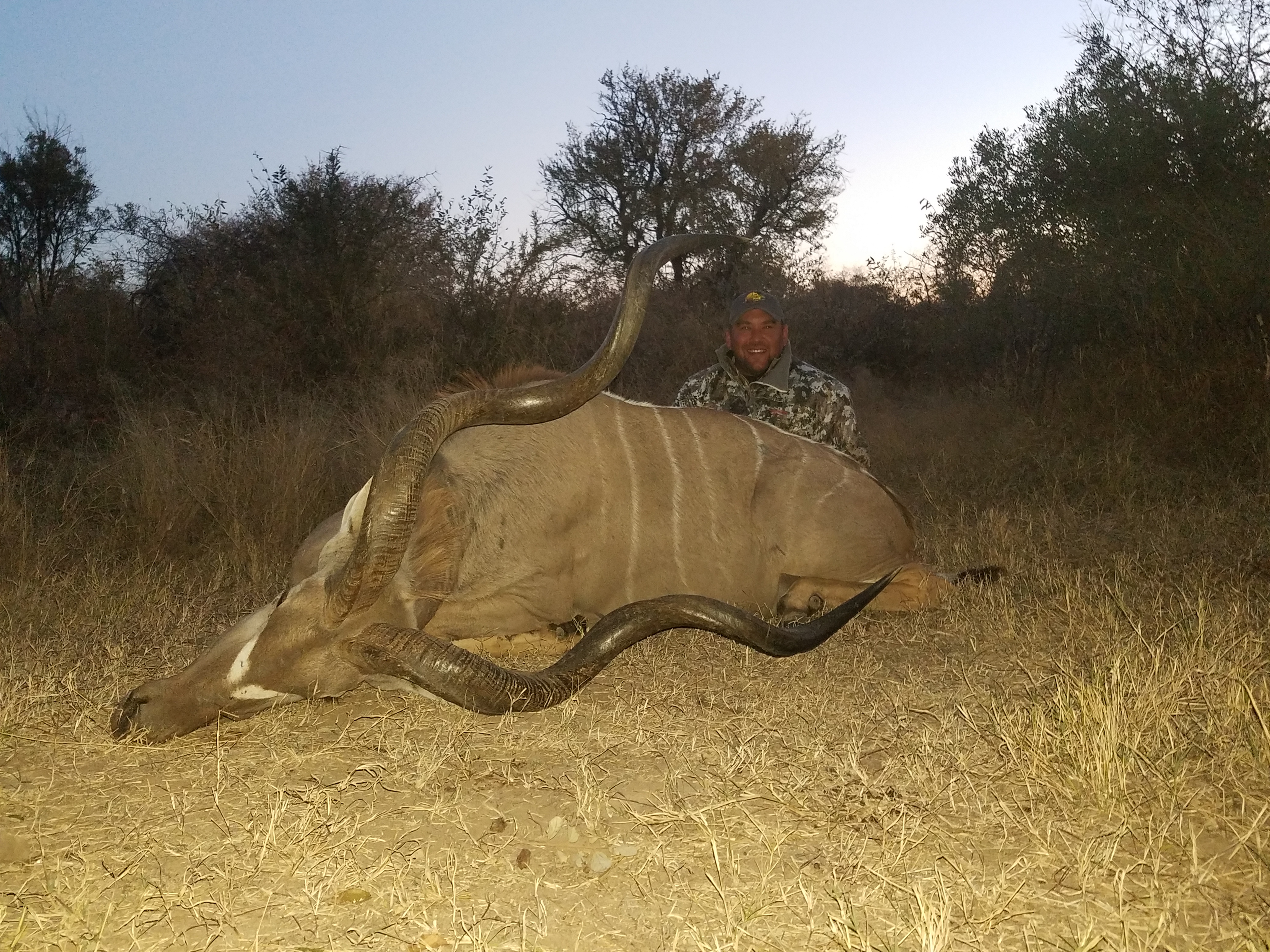 Kudu down.jpg