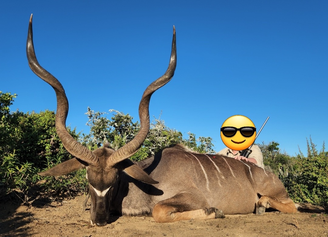 kudu.jpg