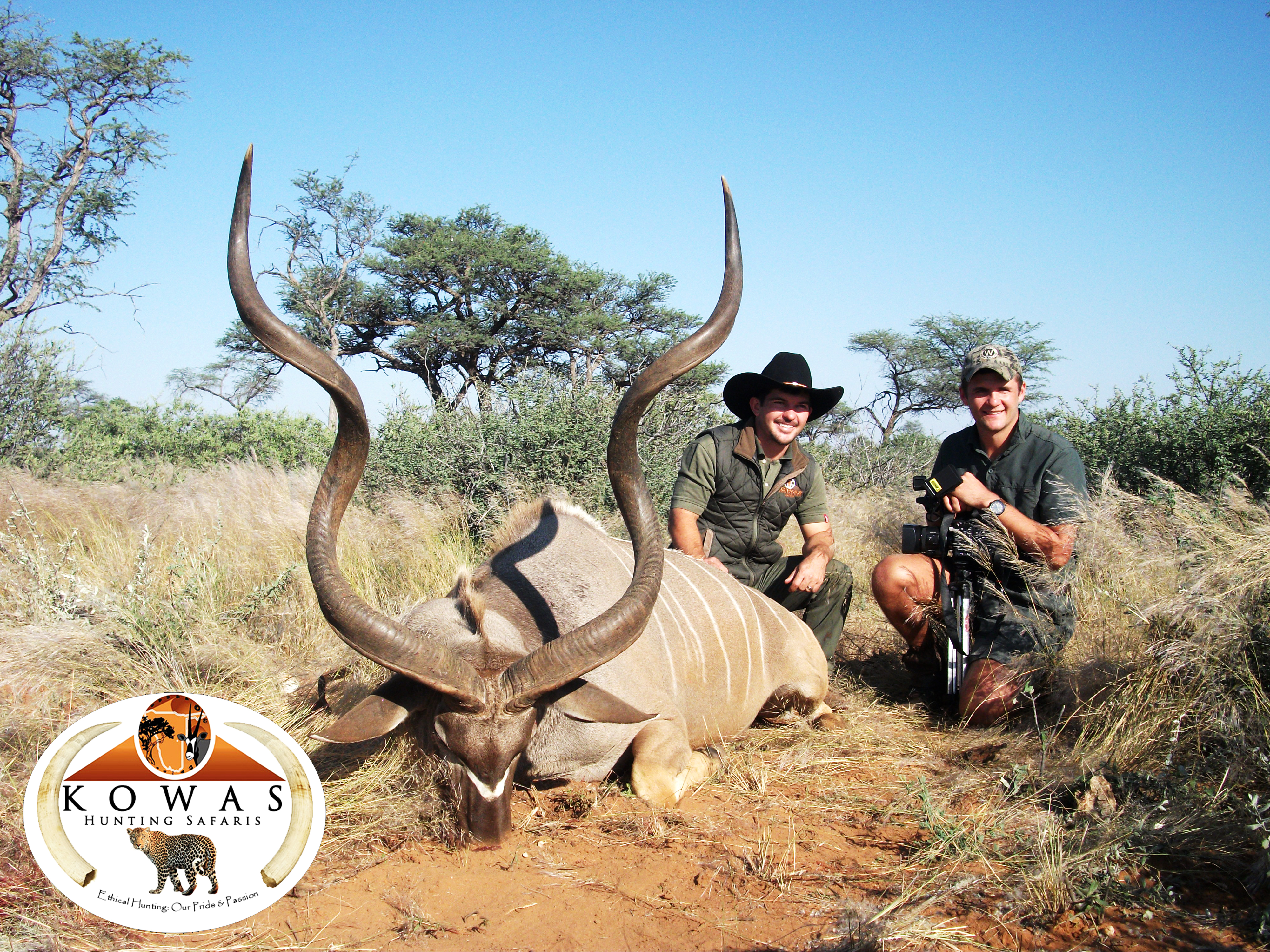 Kudu - Kowas Hunting Safaris.jpg