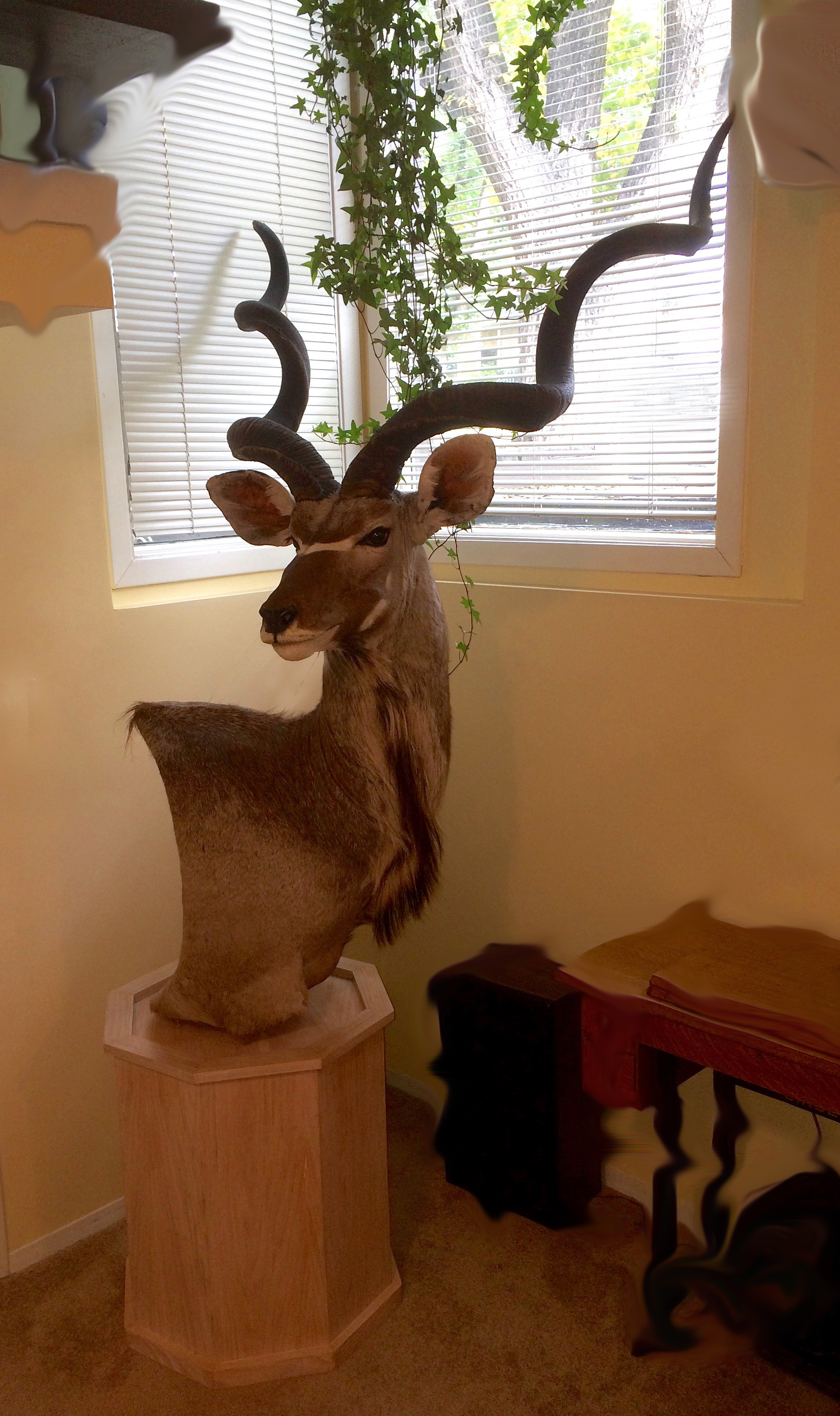 kudu pedestal.jpg