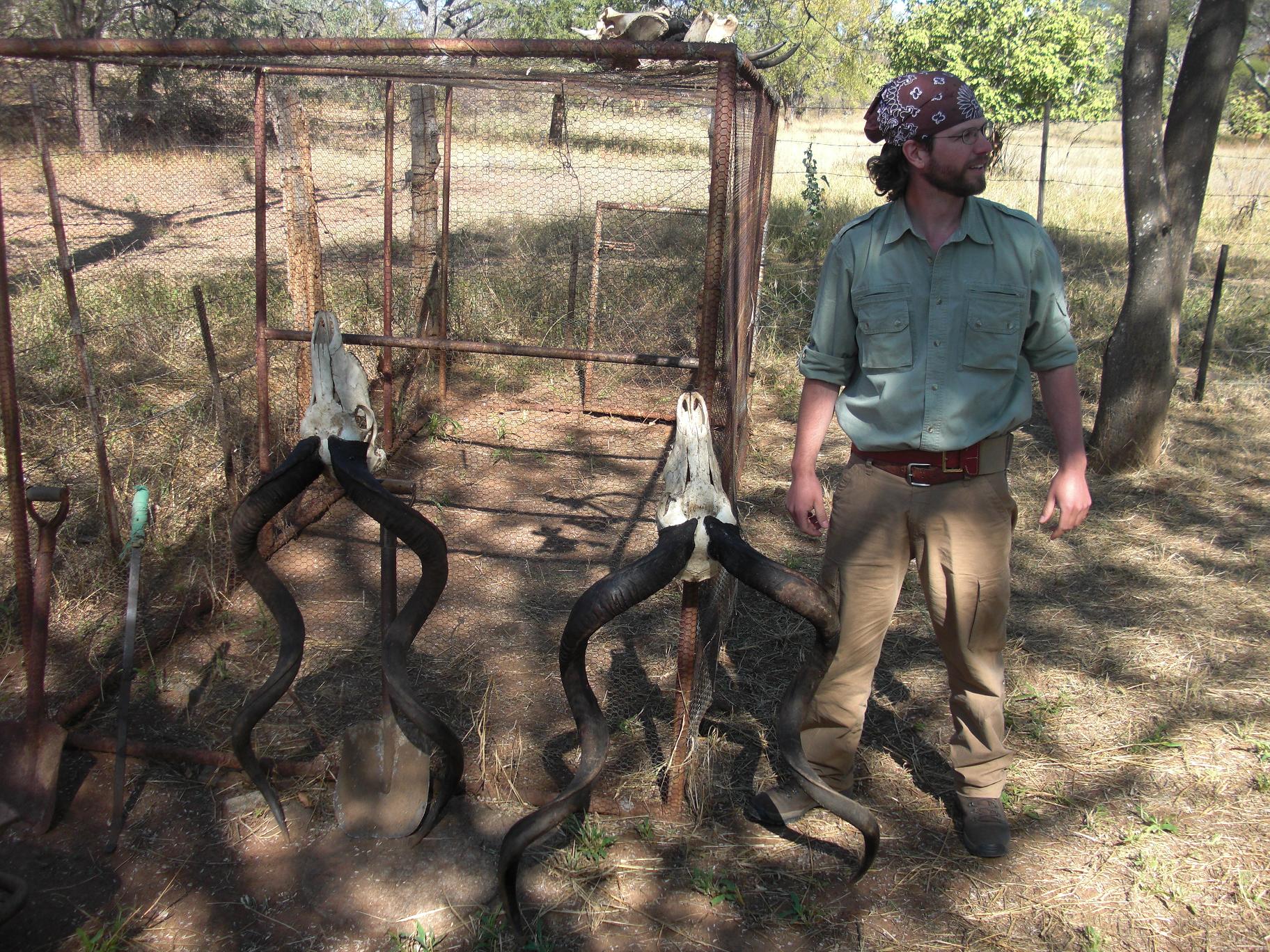 kudu skulls.jpg