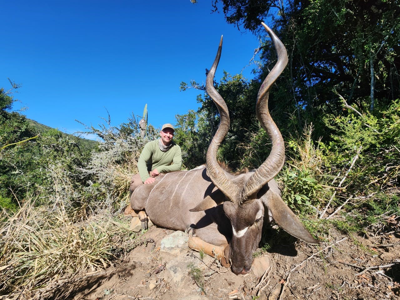 kudu1.jpg