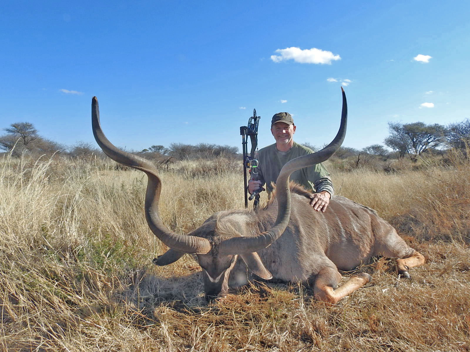 kudu_bull1.jpg