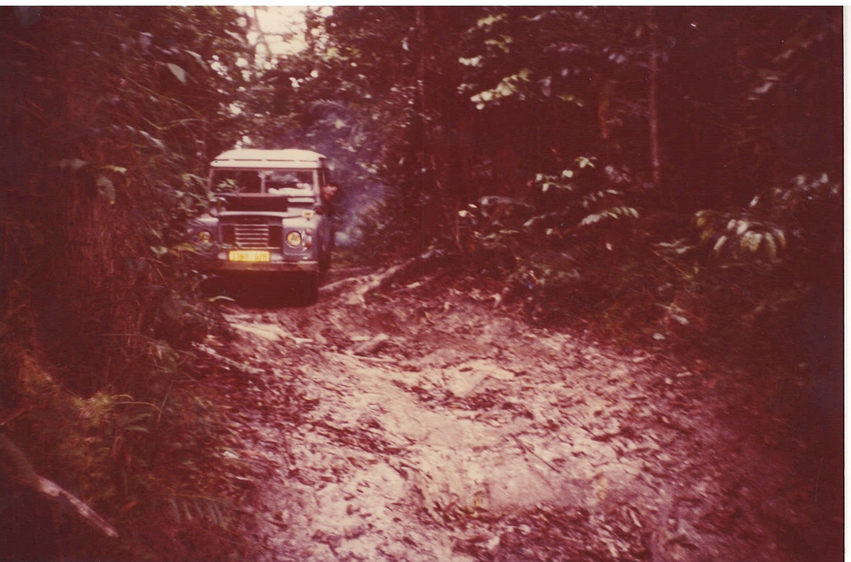 Land Rover 109 Gabon.jpg