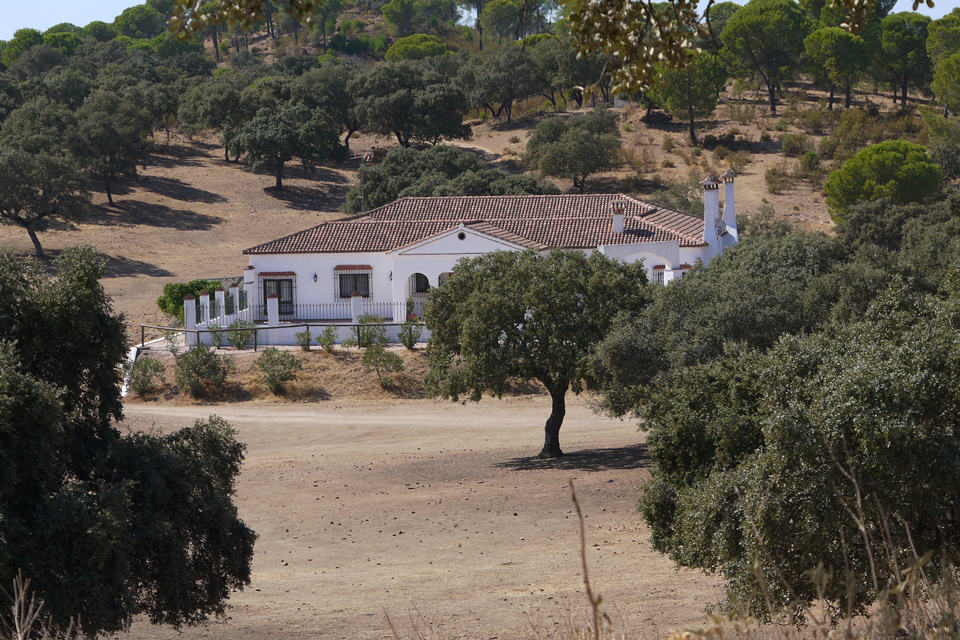 Las-Palomas-Hacienda_960x640.jpg