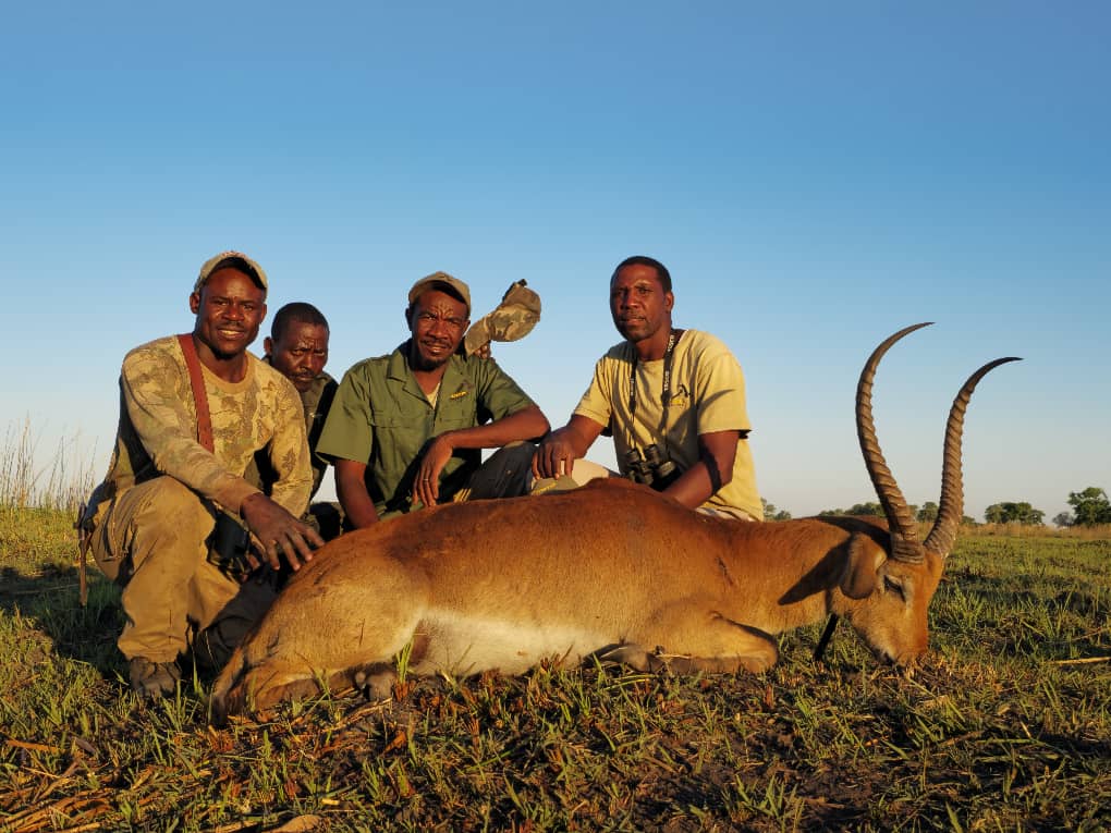 Lechwe.jpg