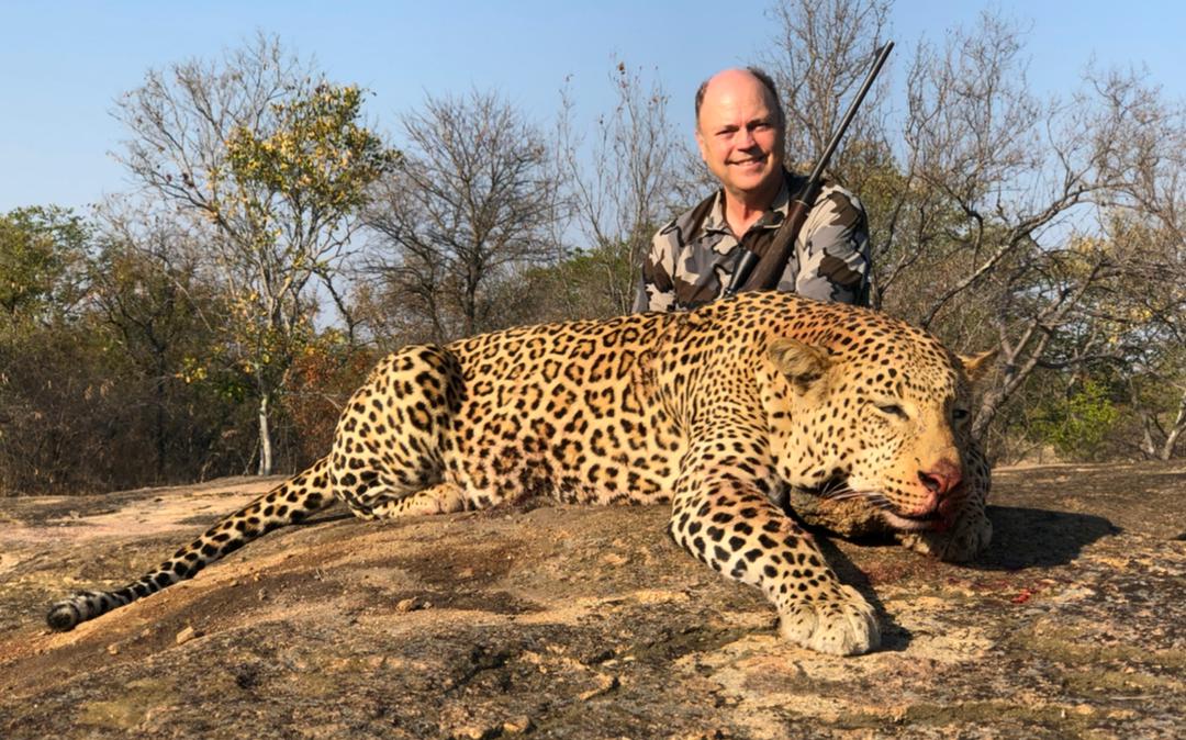 leopard-hunt-zimbabwe.jpeg