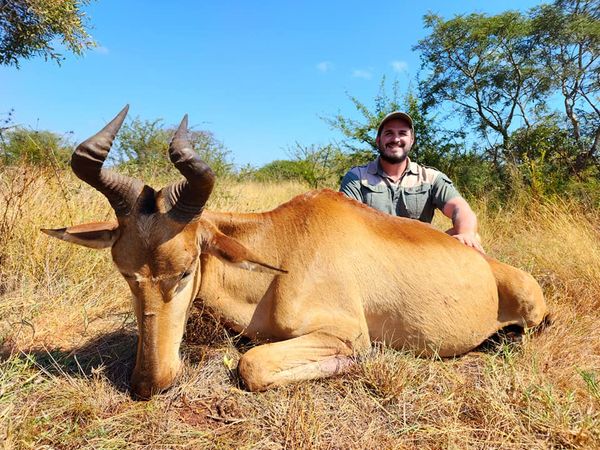 Lichtenstein Hartebeest.jpg