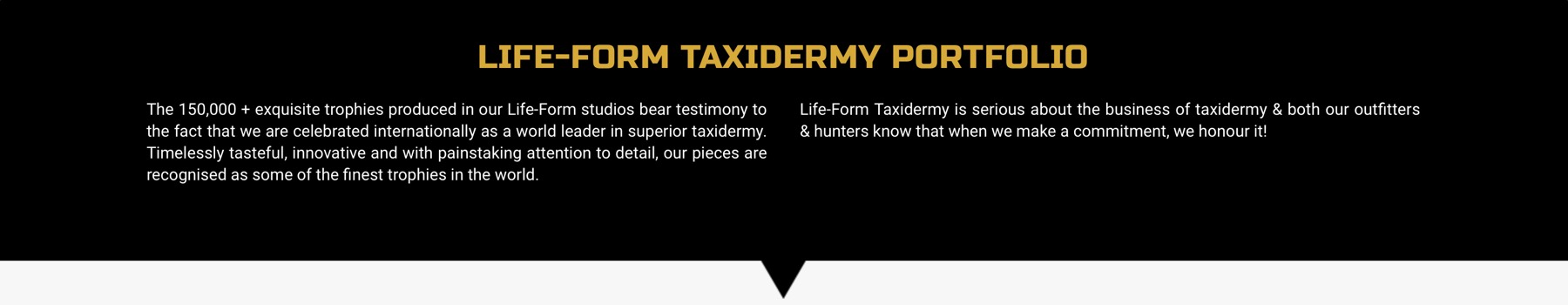 life-form-taxidermy-07.jpg