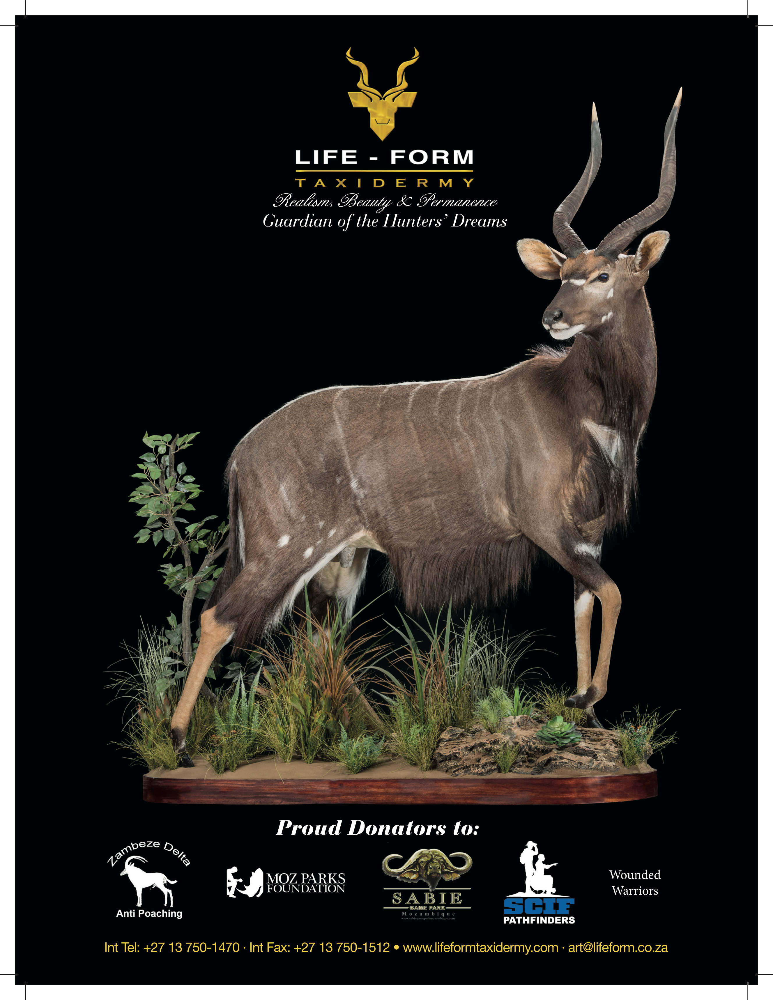 life-form-taxidermy-sa.jpg