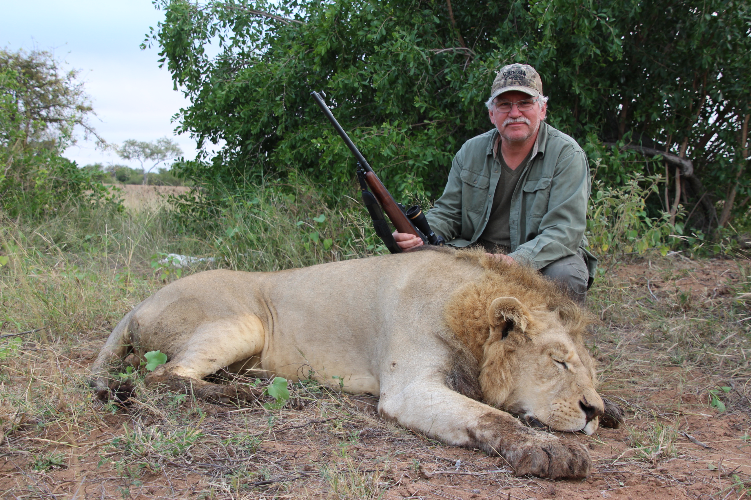 Lion1 Spear April2015.JPG