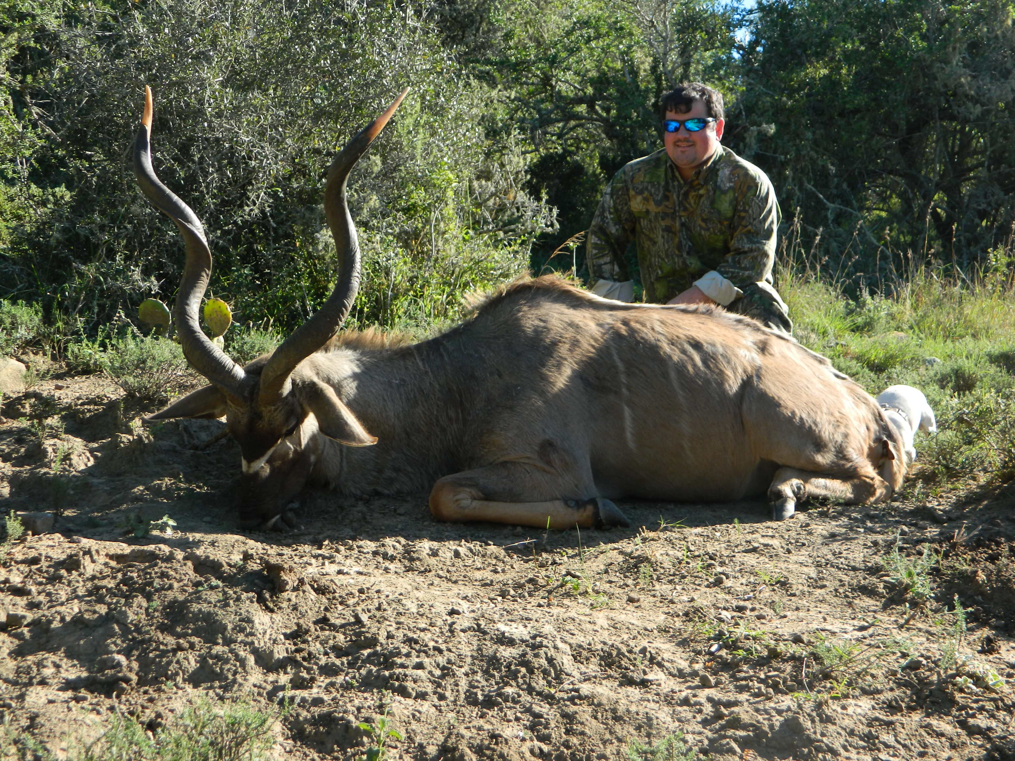 MBR Kudu 5.JPG