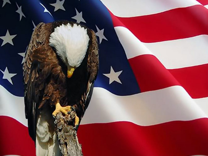 MemorialDay_Flag-Eagle_800x600.jpg