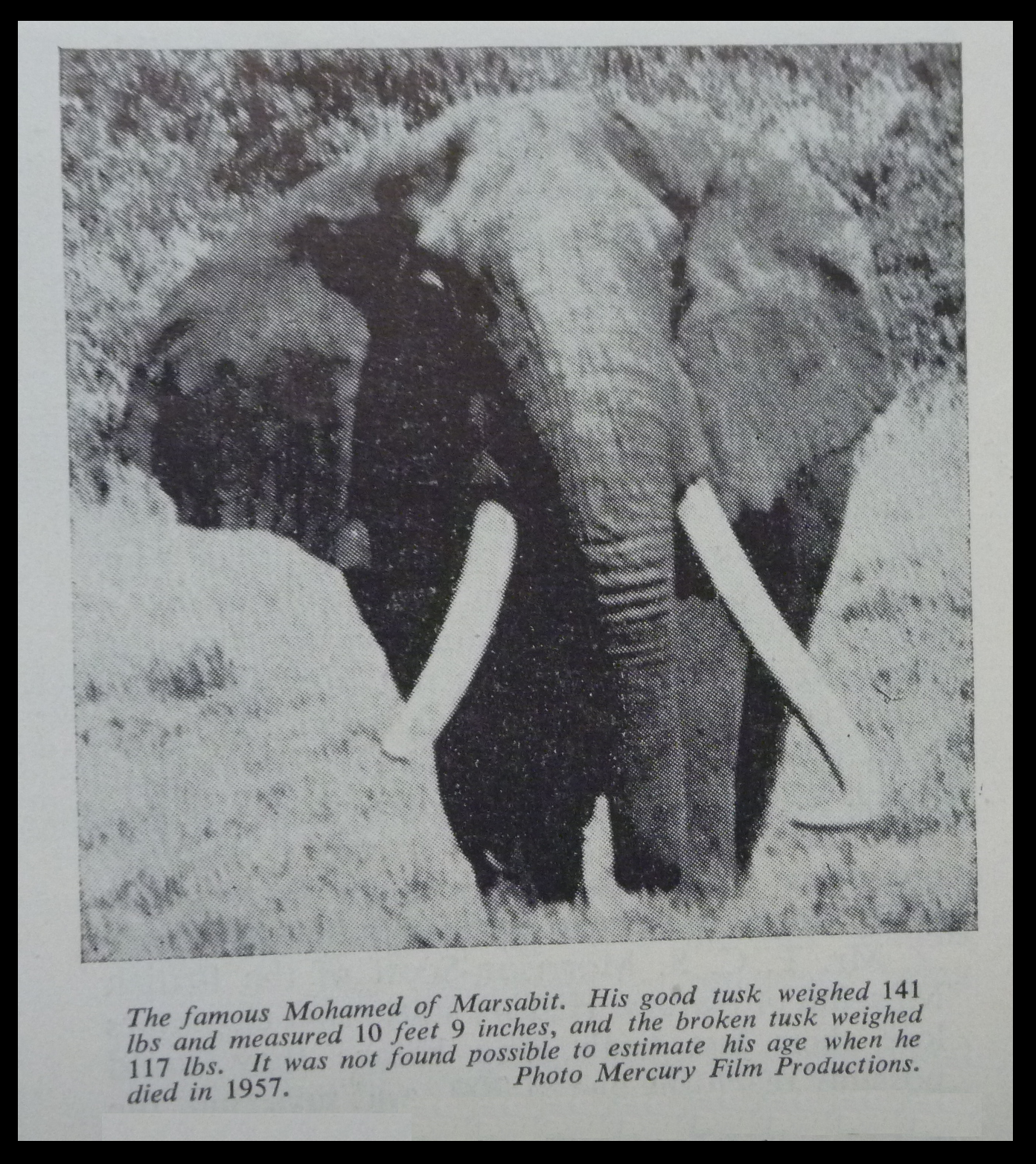 Mohamed of Marsabit - Died in 1957.png