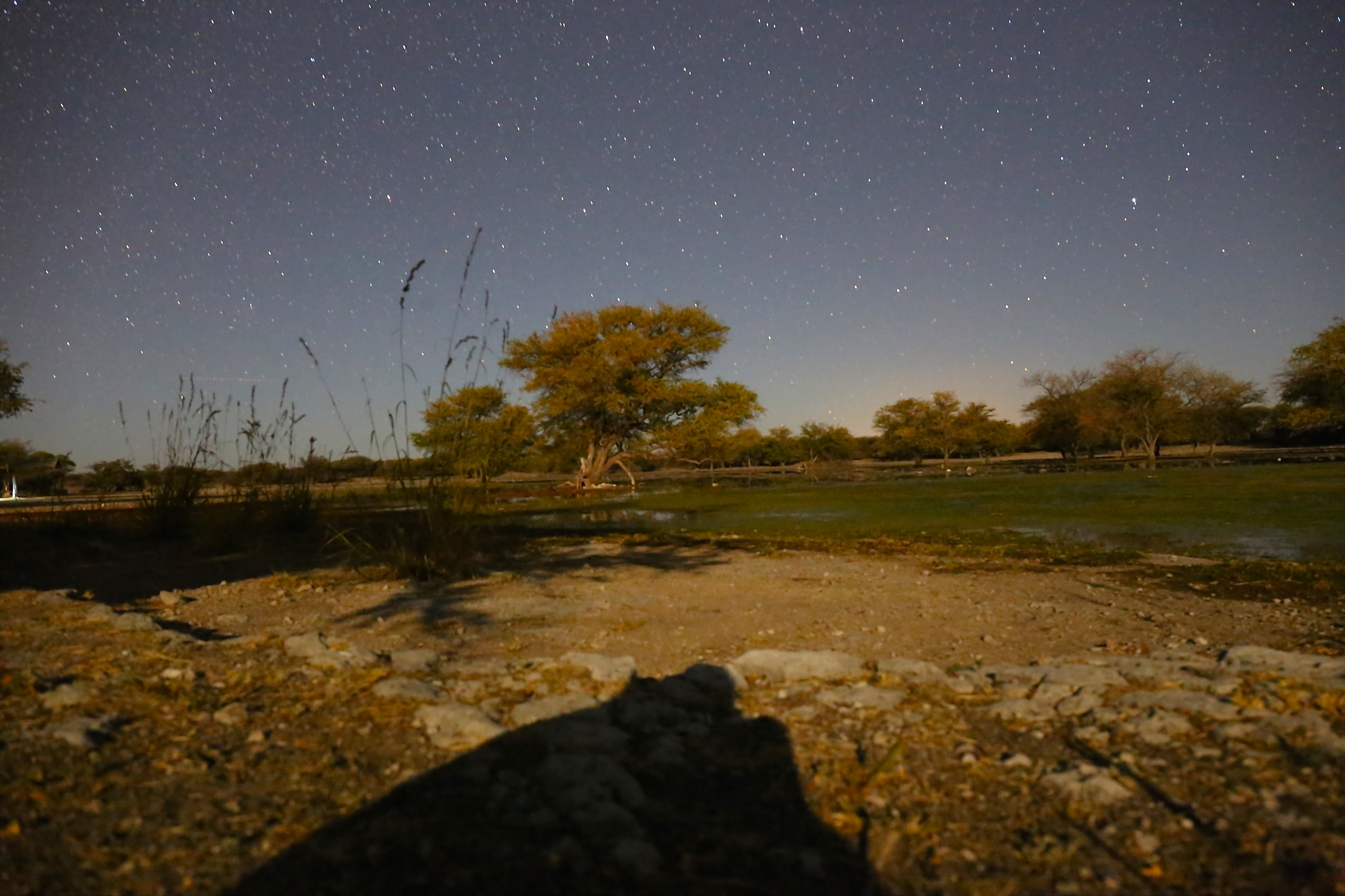 MOON RISE SHADOW.jpg