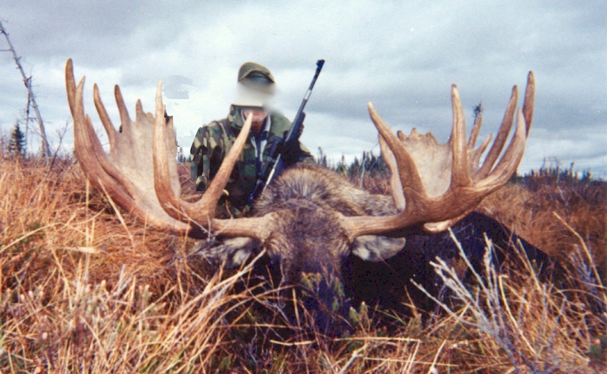 Moose Front copy 2.jpg