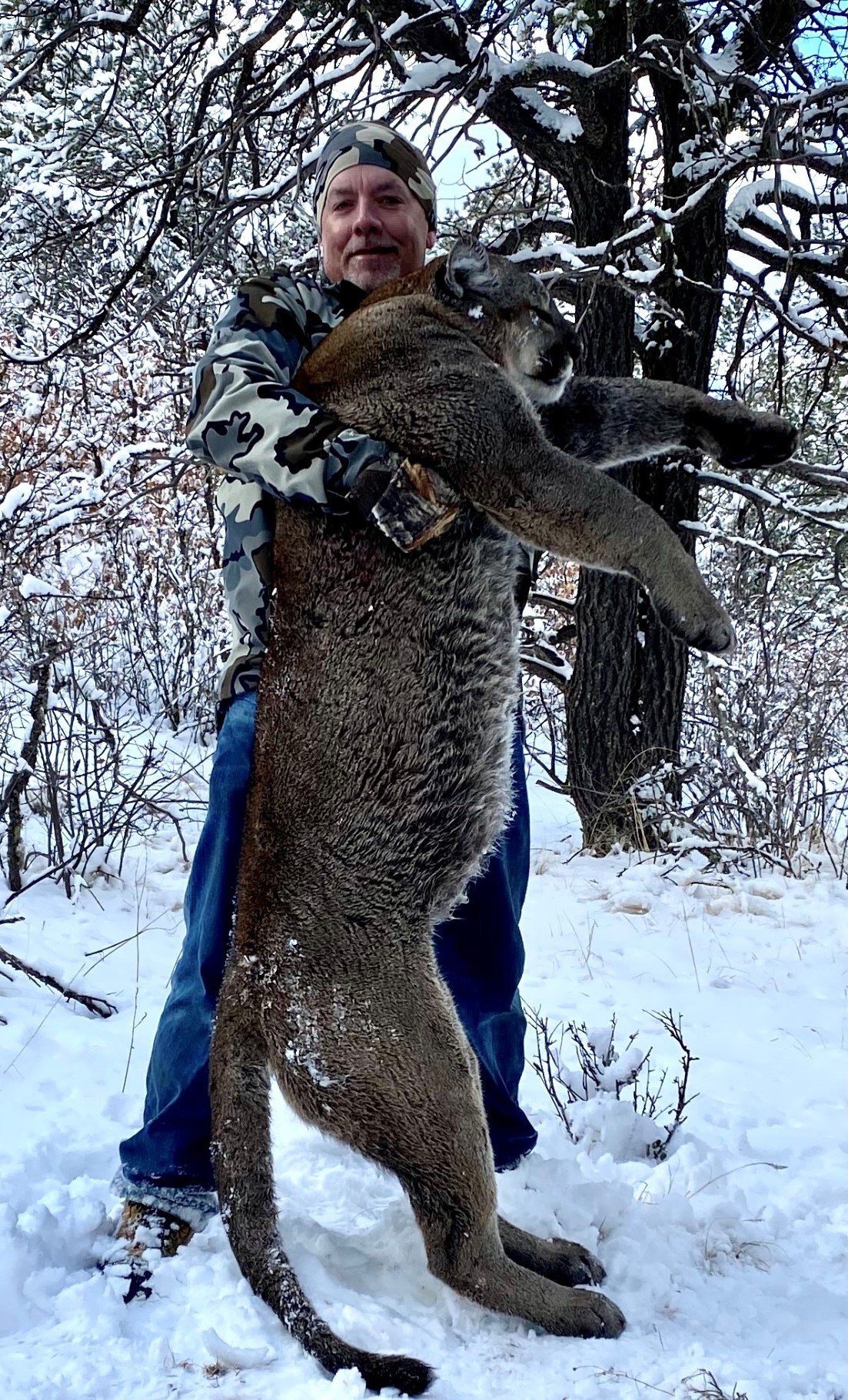 Mountain Lion #4A.jpg