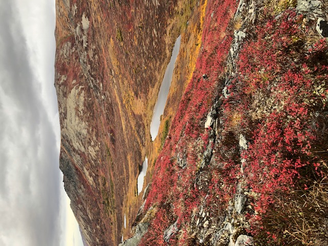 mountain pass with ponds.jpg