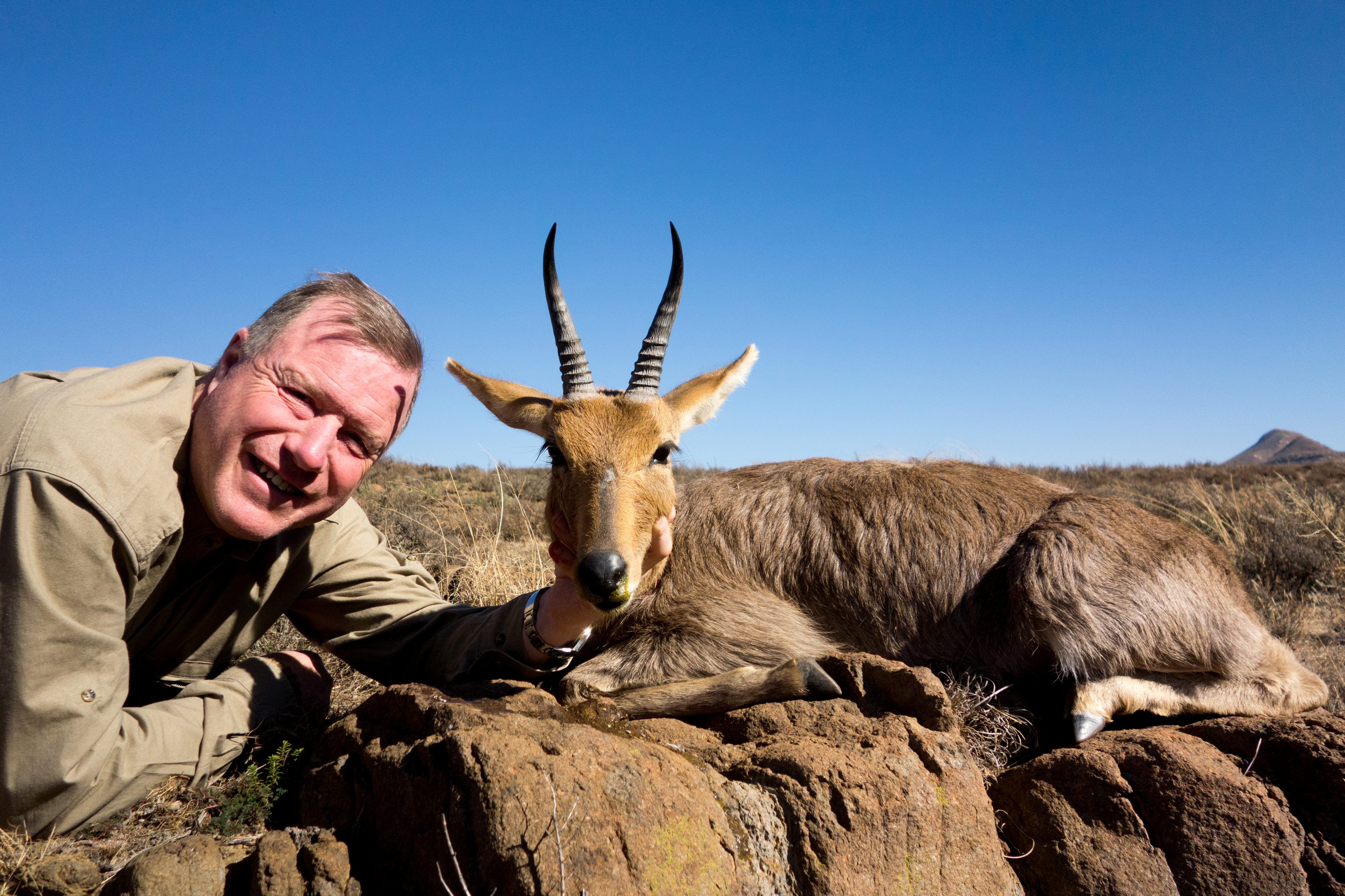 Mountain Reedbok.JPG