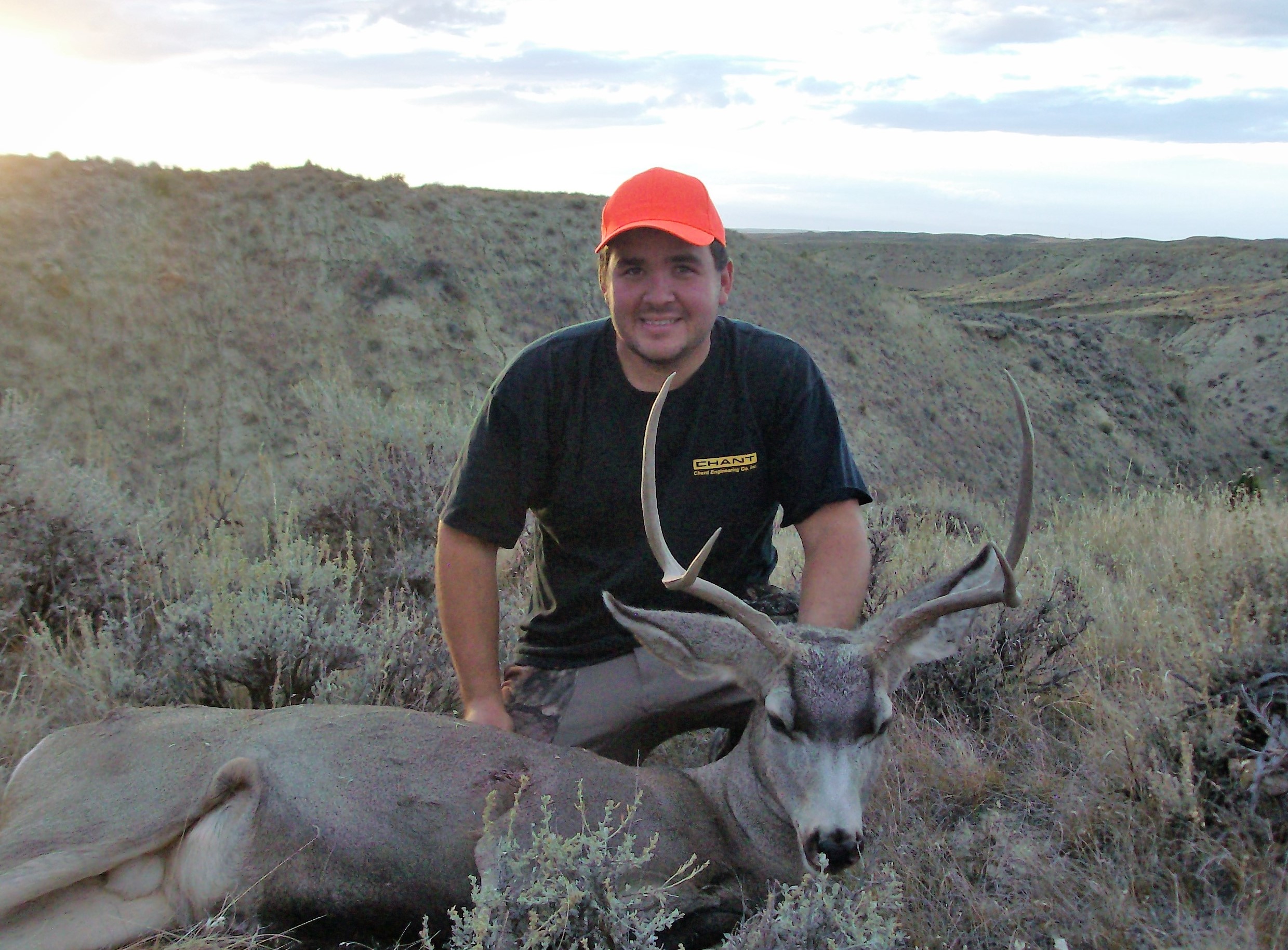 Mule deer alone.JPG