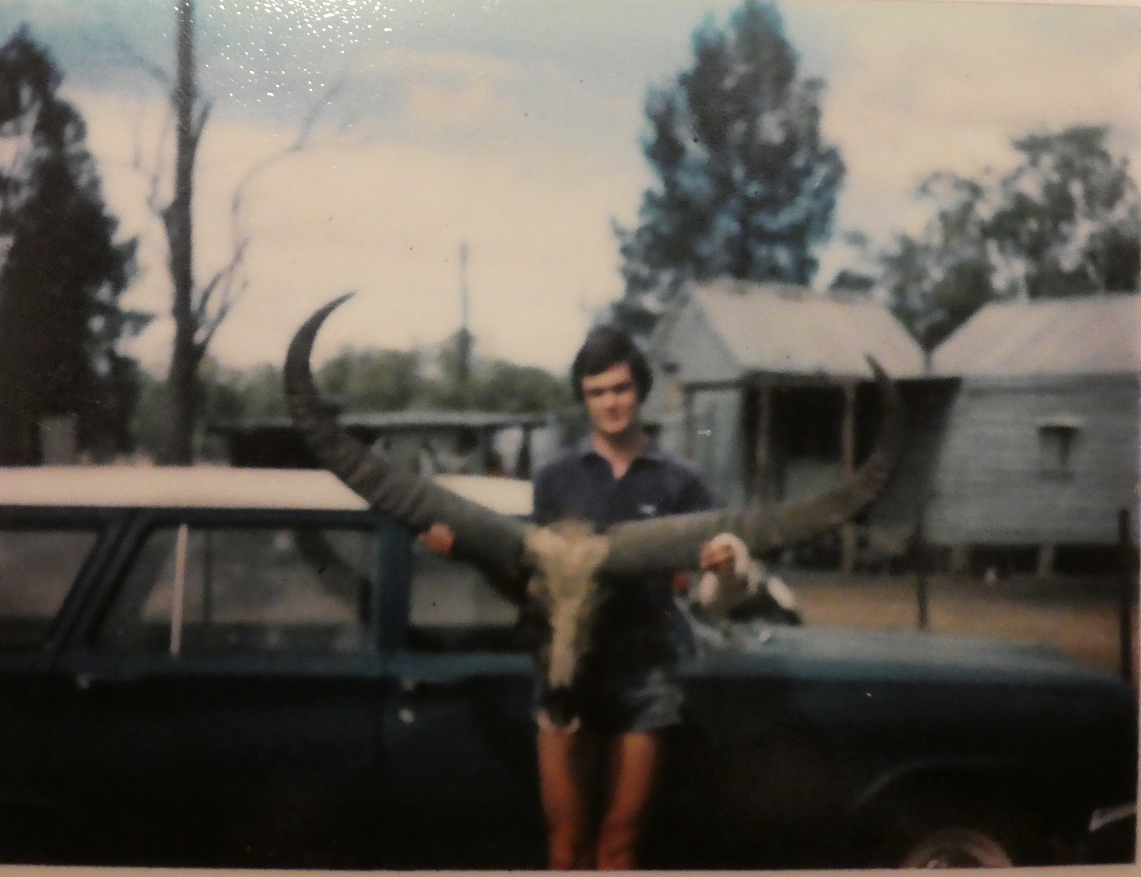 My Buffalo on the EH back in the day .jpg