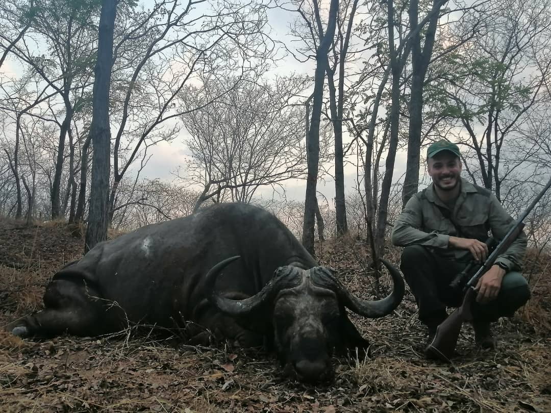 My first cape buffalo (FILE Minimizer).jpg