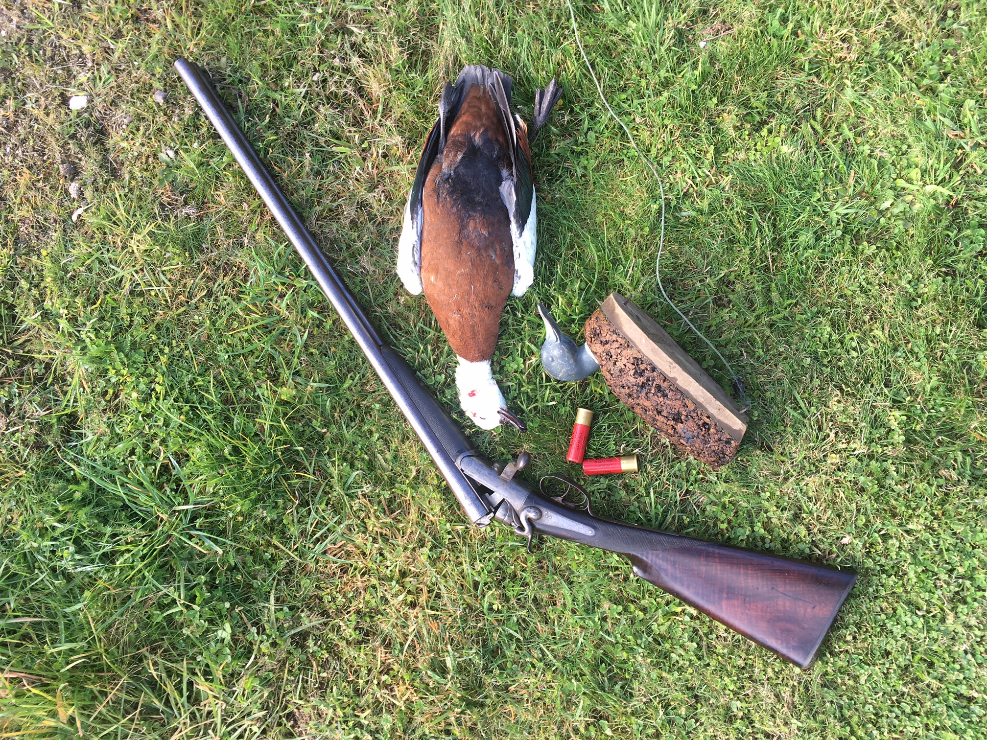 My Tolley 8 Bore.JPG