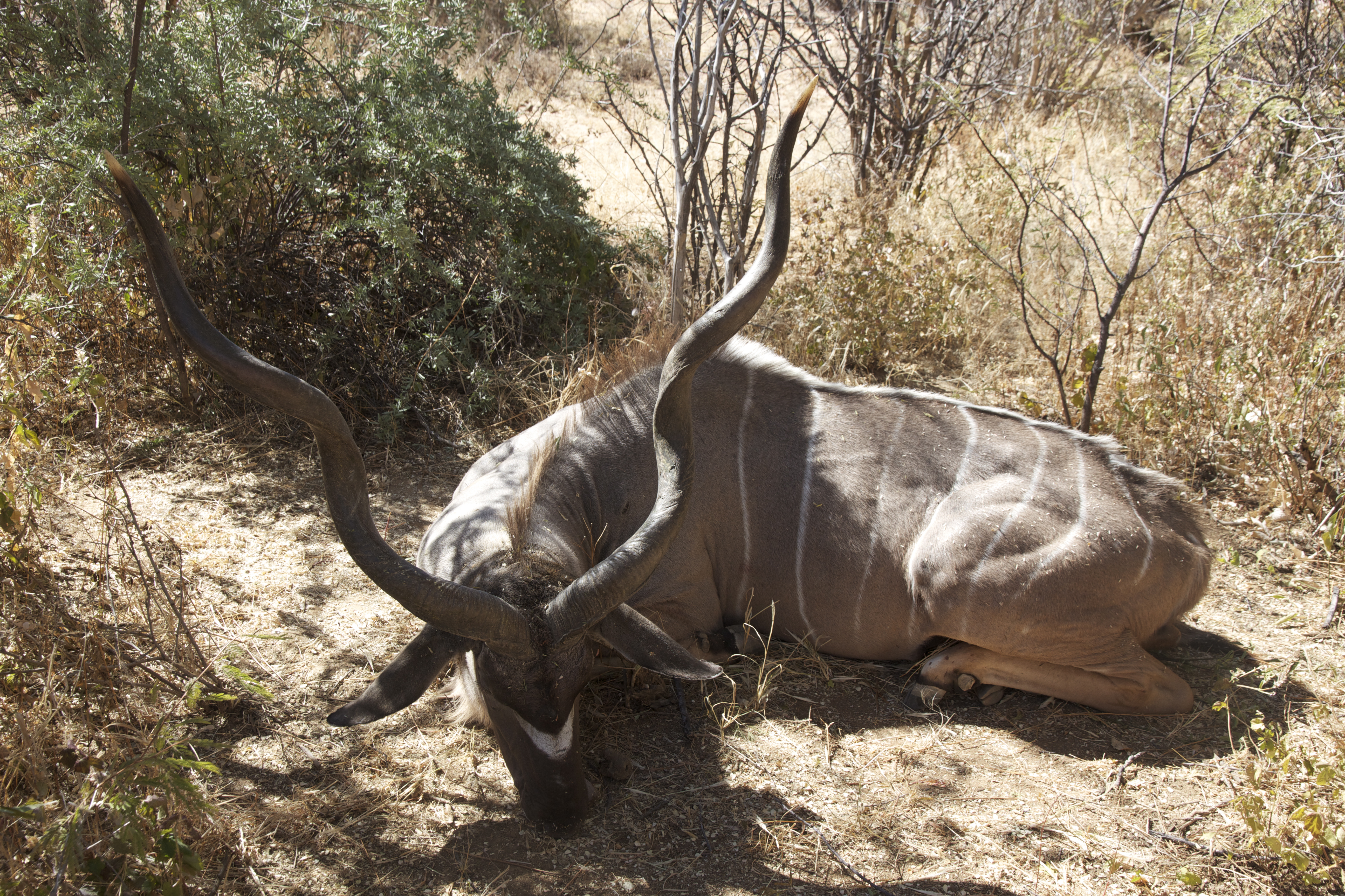 namibia 2 - 209.jpg