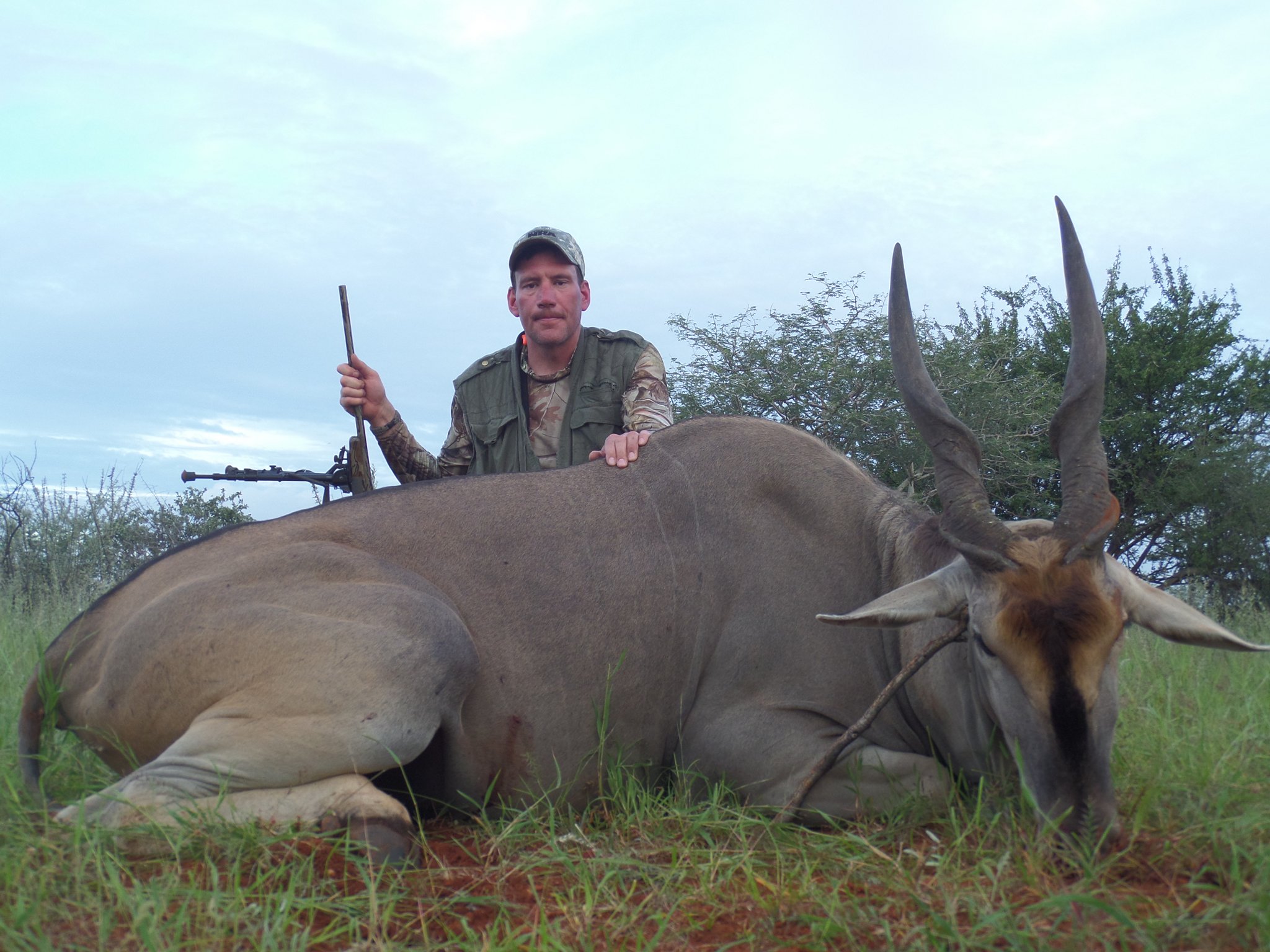 Namibia eland.jpg