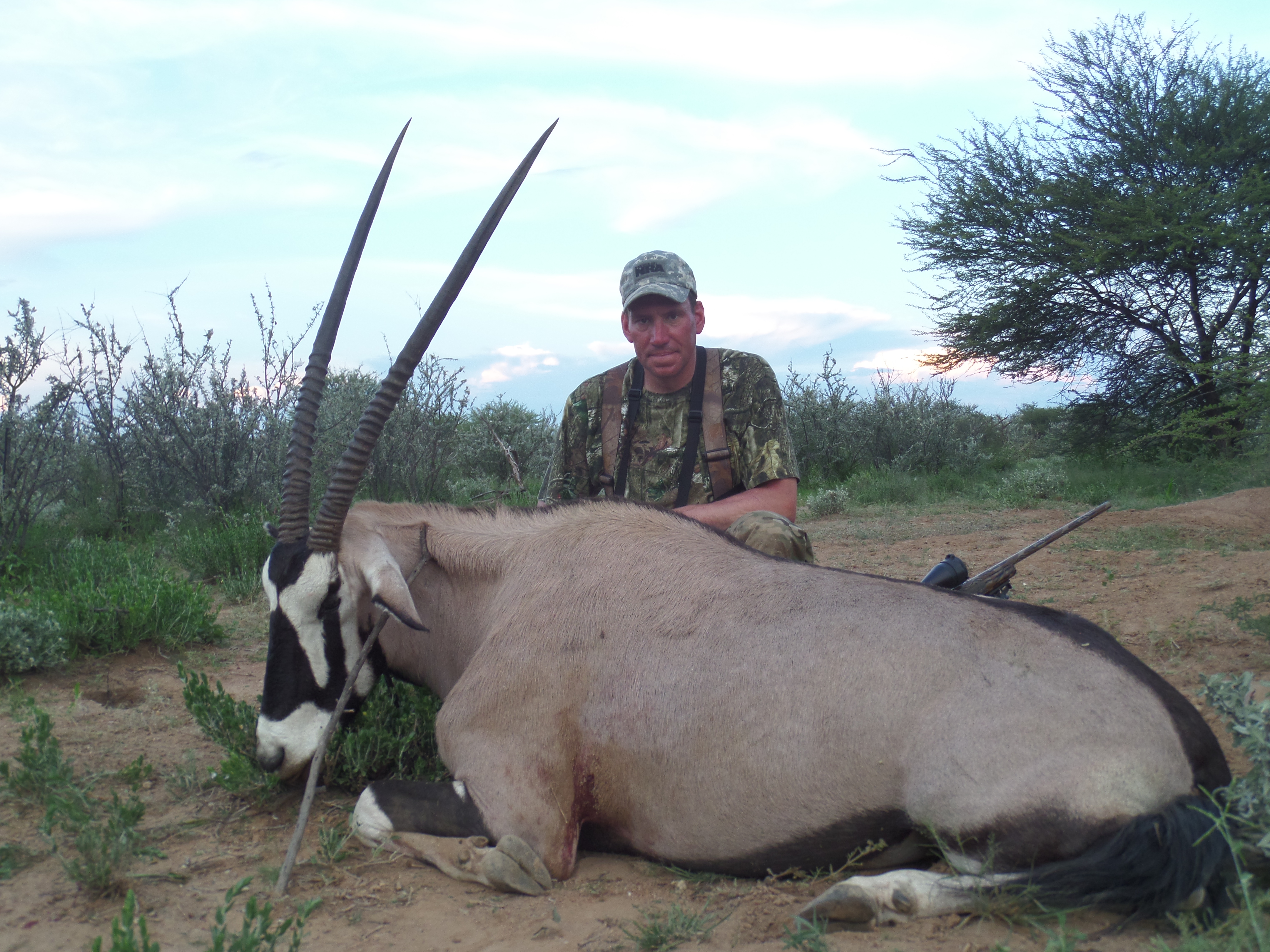 Namibia gemsbok2.JPG