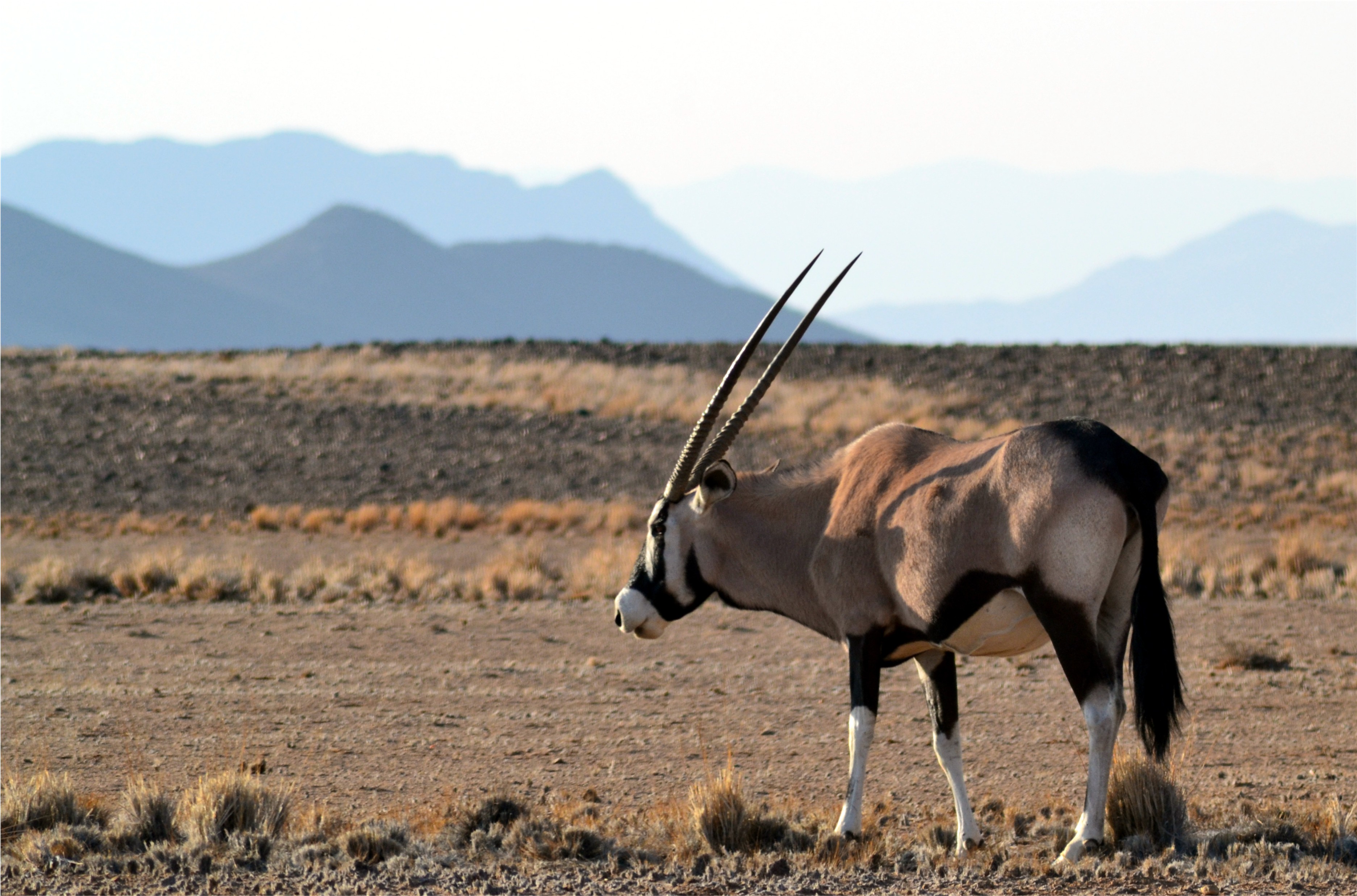 Namibia Hunting and Road Trip. 1256.jpg