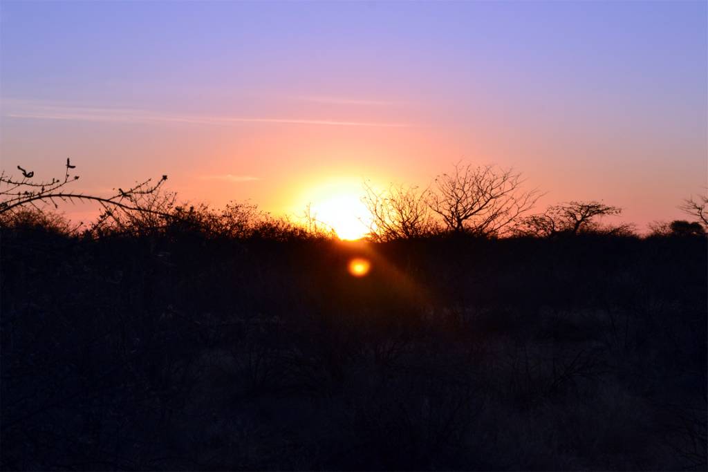 Namibia Hunting and Road Trip. 886.jpg