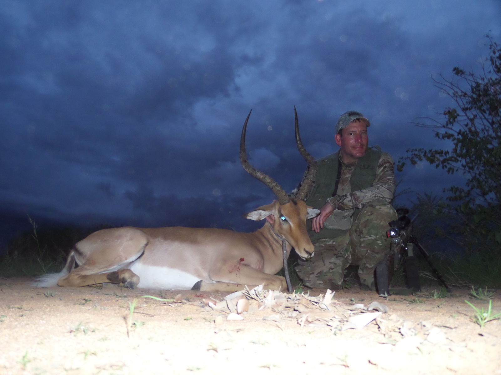 Namibia impala3.JPG