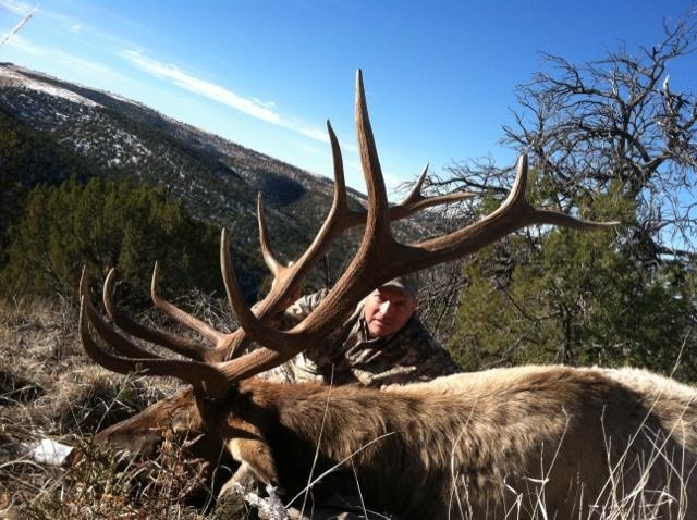 New Mexico Elk Hunt 2010 3.JPG