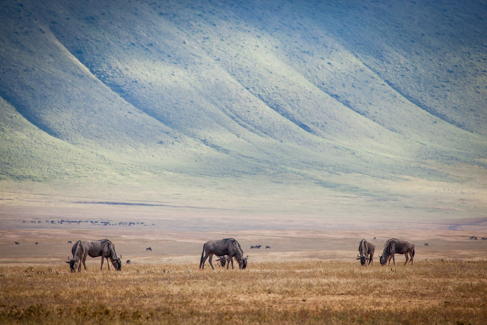 NgorongoroCrater-1.jpg