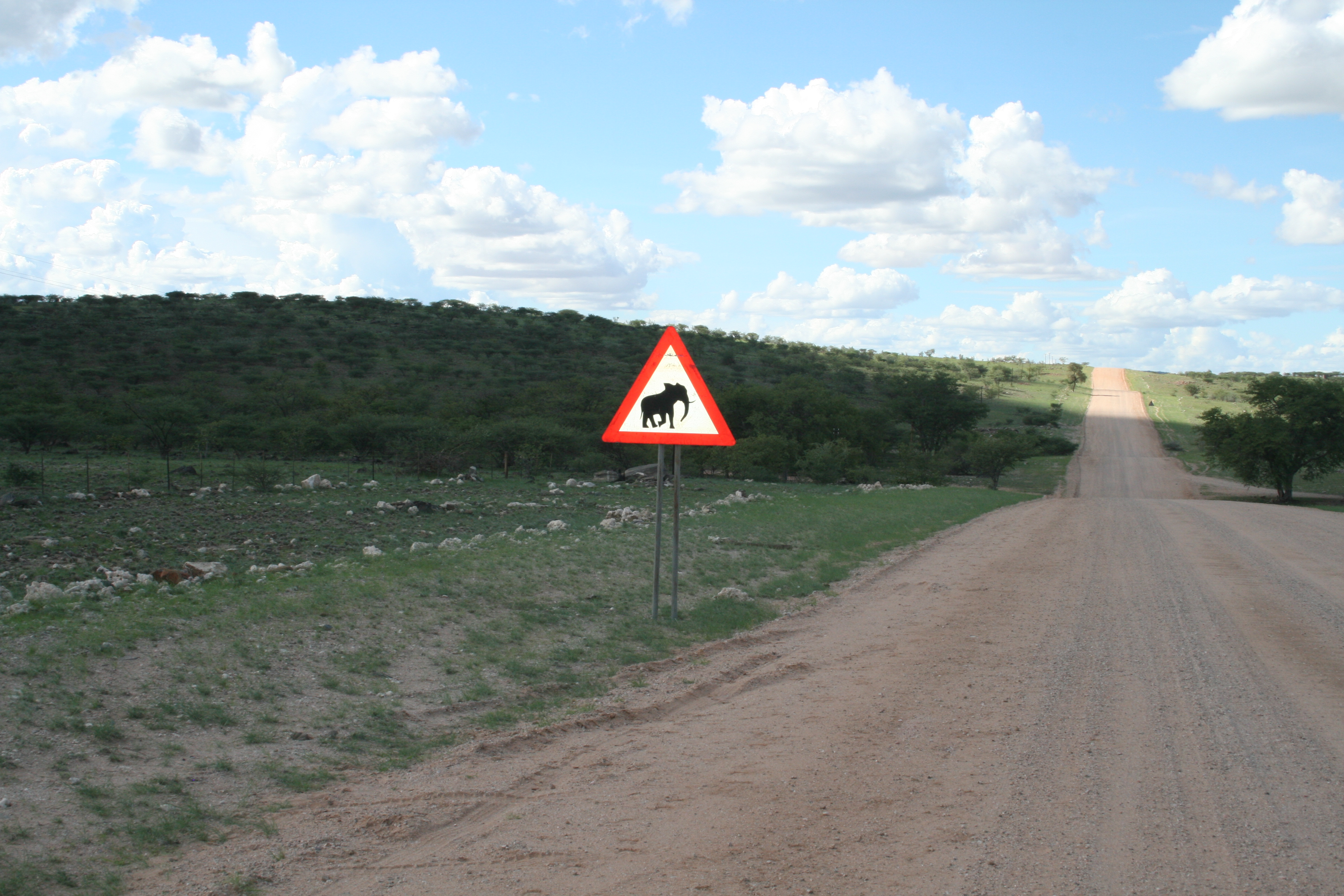 nw-namibia-ele-crossing.jpg