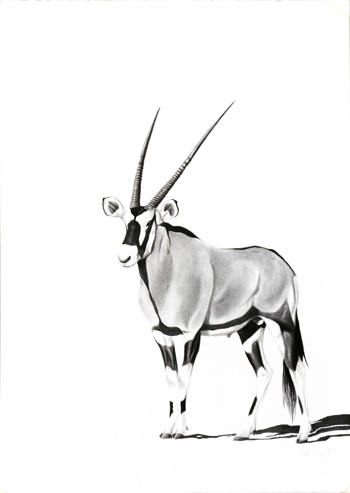 oryx-quartering-to-bw.jpg