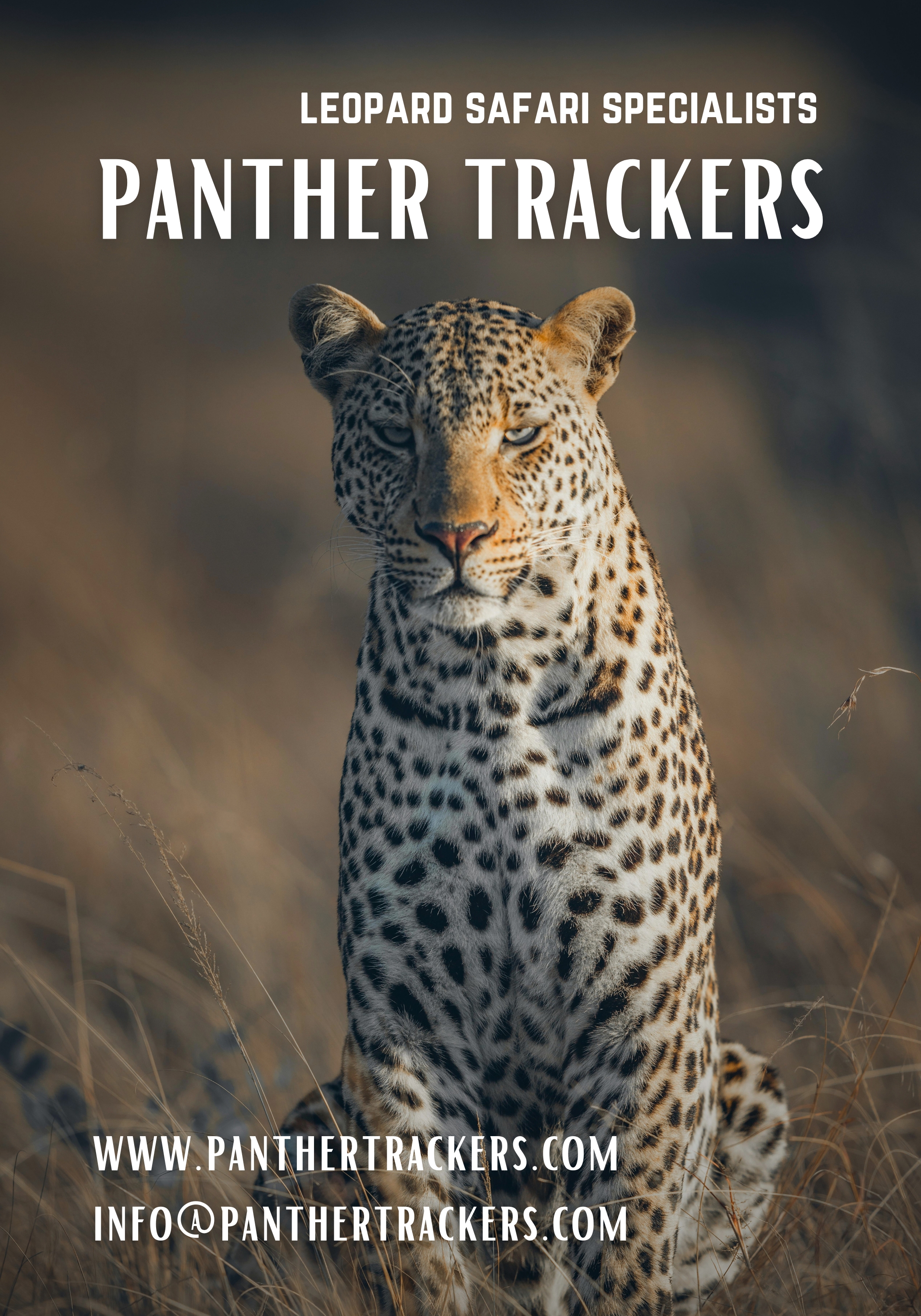 panther trackers CAT HUNTER option2.jpg