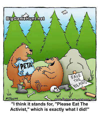 peta bears.jpg