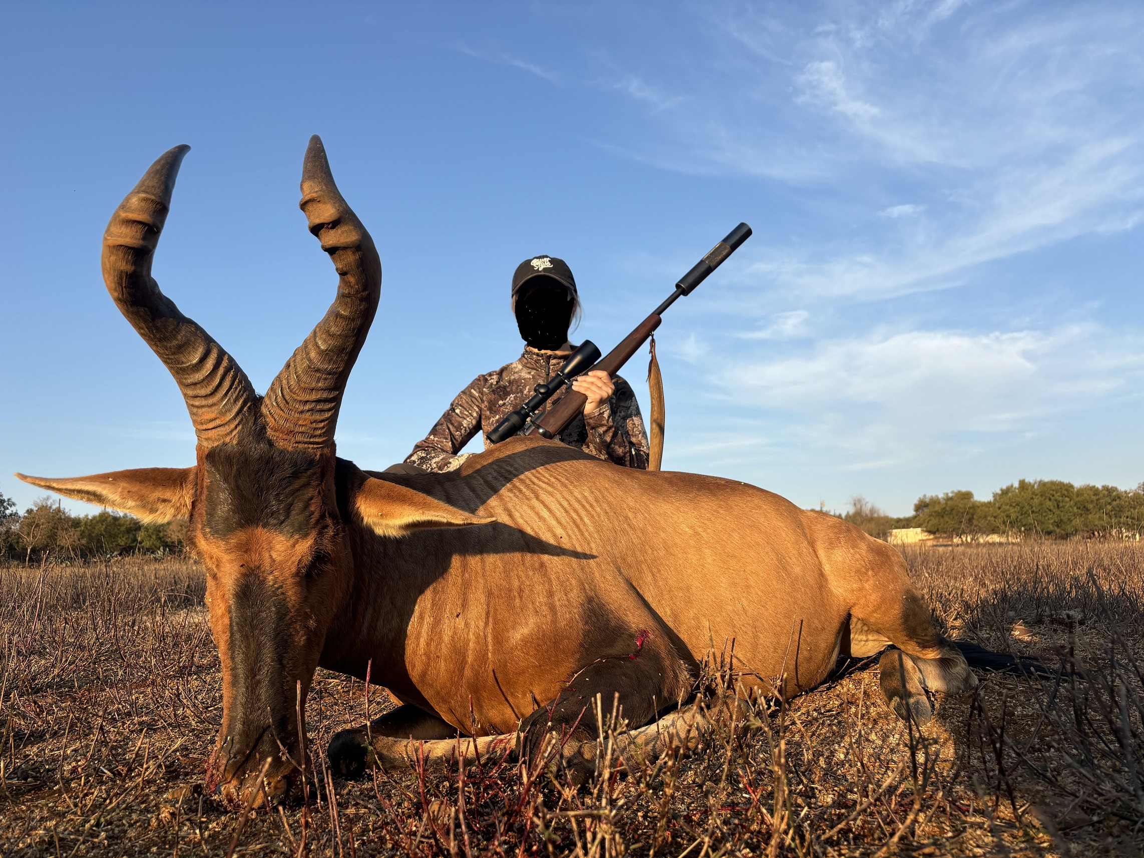 Peyton Hartebeest.jpg