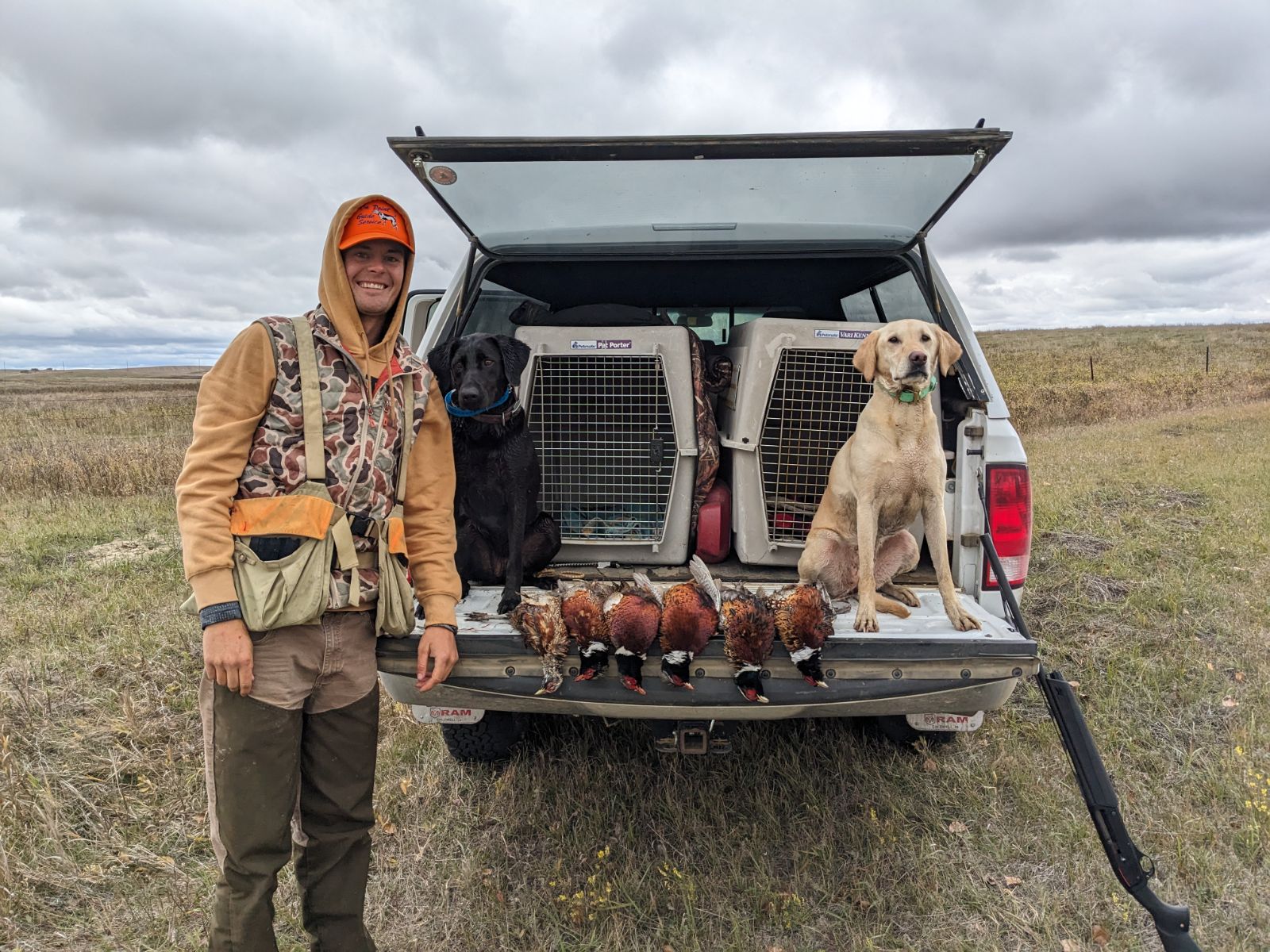 Pheasants ND.jpg