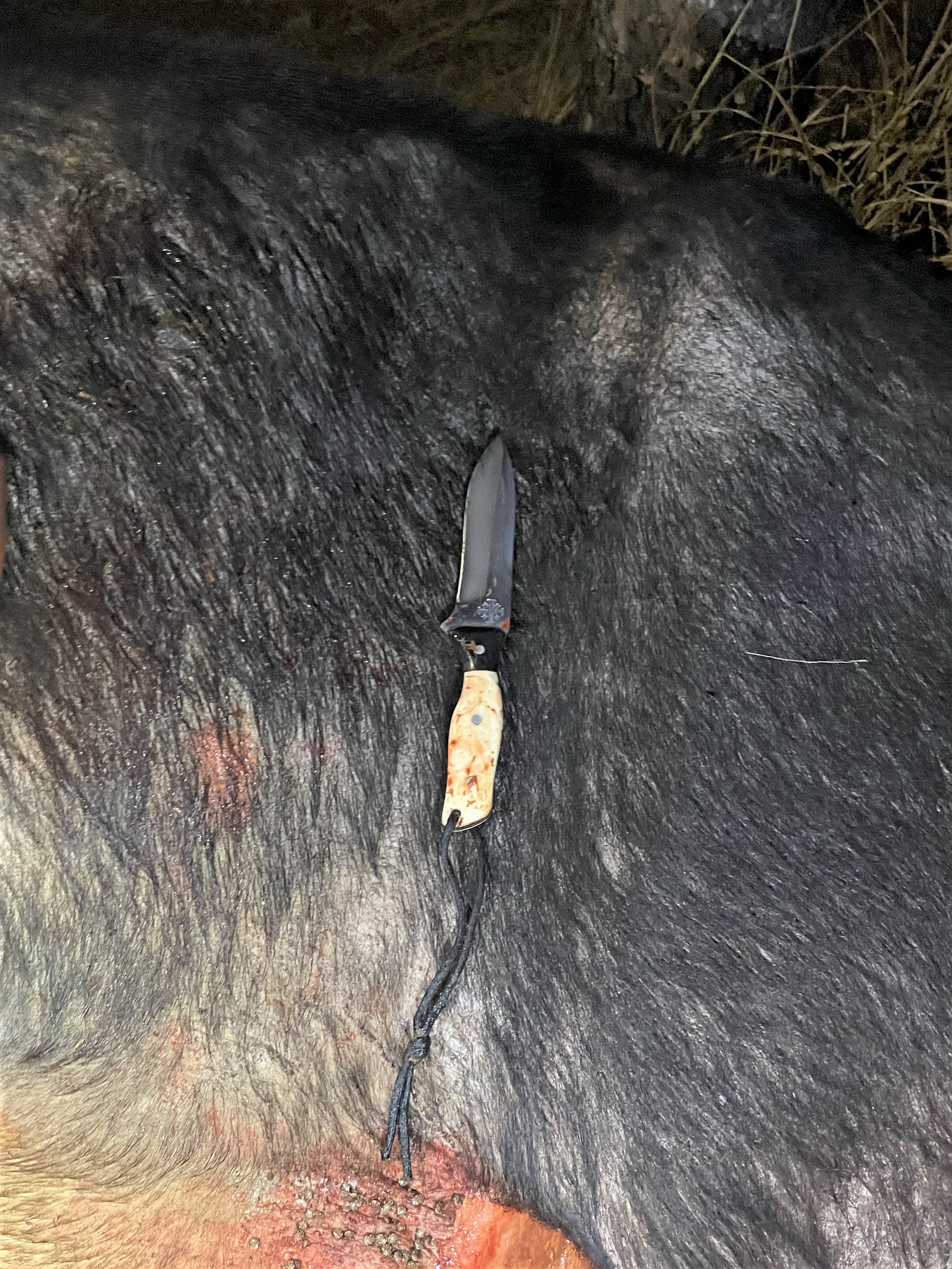 Photo MDwest Knife working.jpg