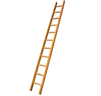 pole-ladder.jpg