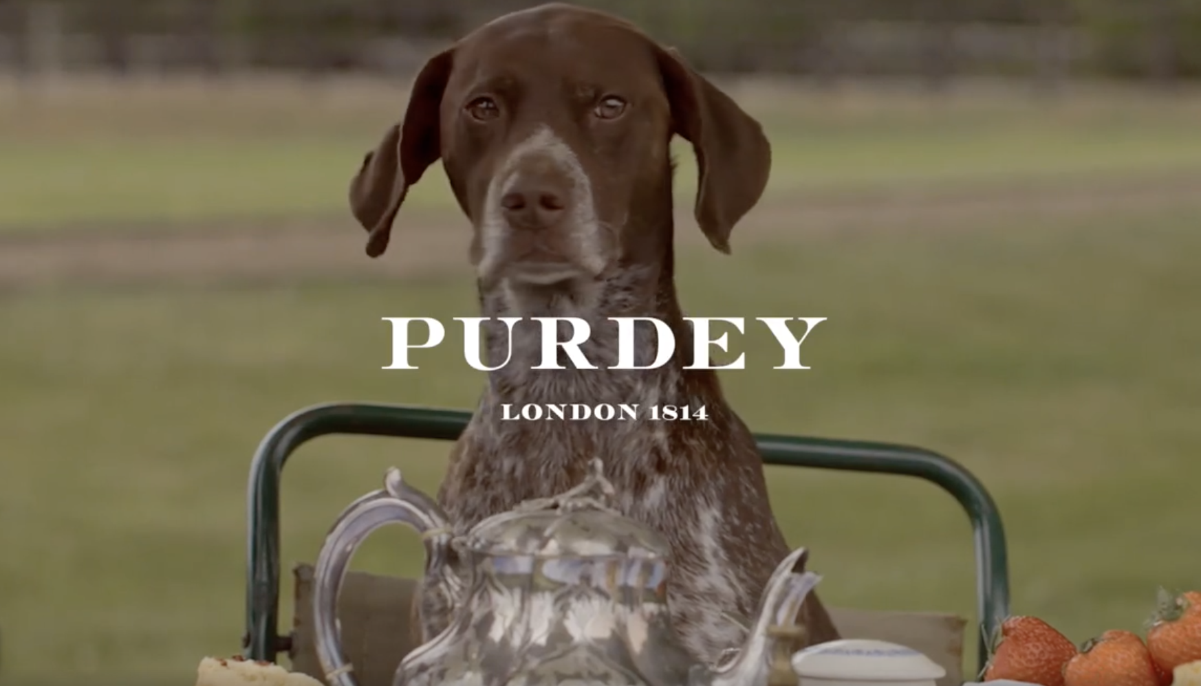 purdey.png