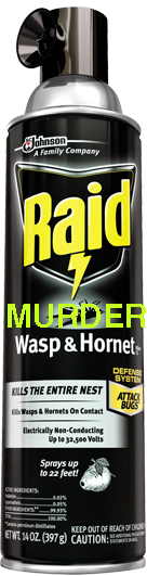 raid wasp and hornet killer 33.jpg