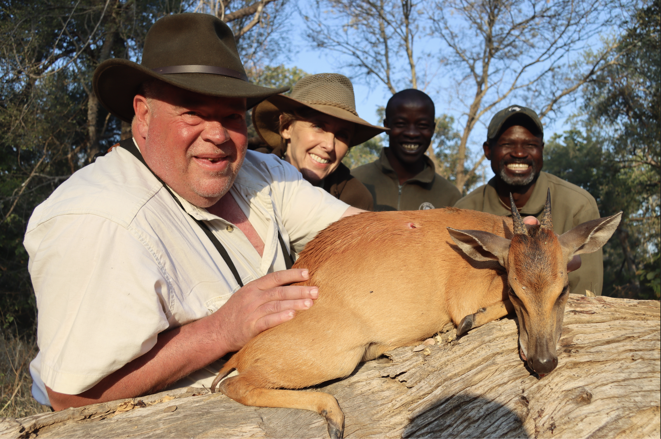 red duiker 1.png