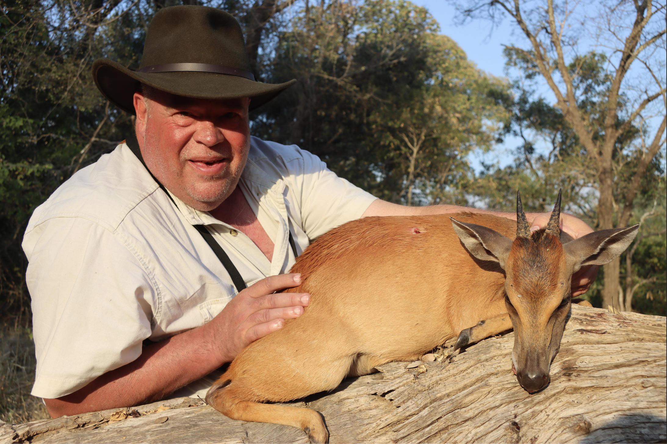 red duiker 2.png